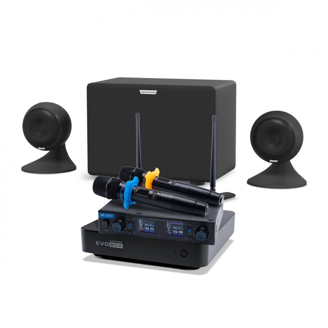караоке-комплект EVOBOX + EvoSound Sphere 2.1 в Саратове