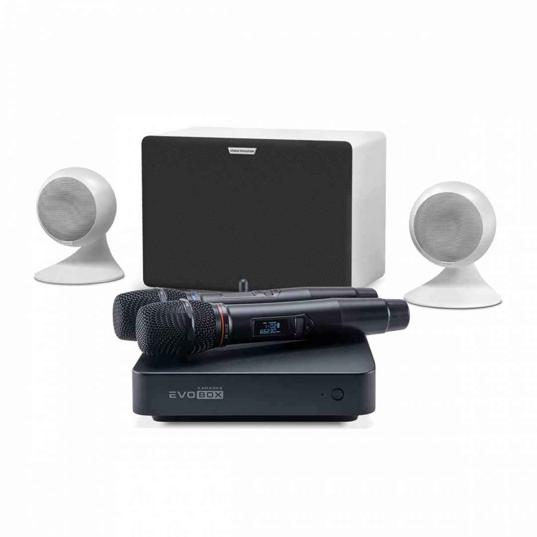 караоке-комплект EVOBOX Classic + EvoSound Sphere 2.1 в Саратове