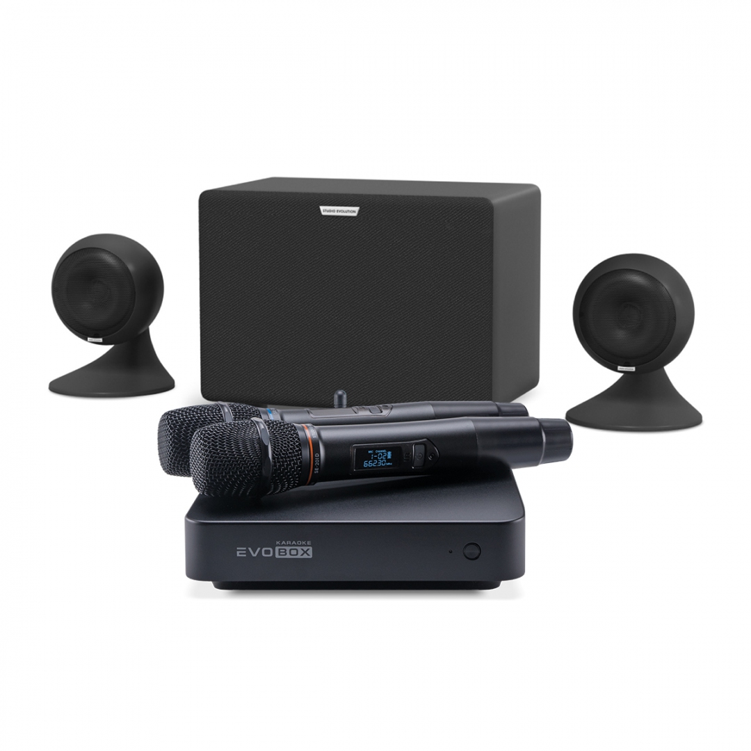 караоке-комплект EVOBOX Plus + EvoSound Sphere 2.1 в Саратове