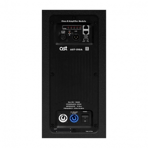 Активная акустическая система AST-310A в Саратове
