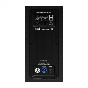 Активная акустическая система AST-312A в Саратове