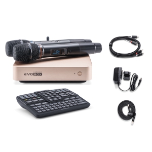 EVOBOX Classic караоке-система для дома в Саратове