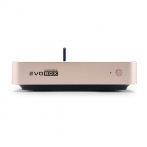 EVOBOX Plus караоке-система для дома в Саратове
